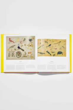 Bird: Exploring The Winged World
