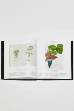 Plant: Exploring The Botanical World